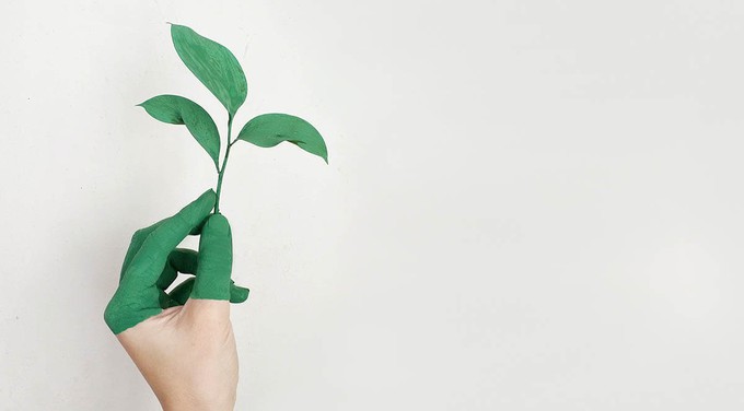 A green hand holding some leaves to represent the importance of ethical living and of reducing the eco gender gap