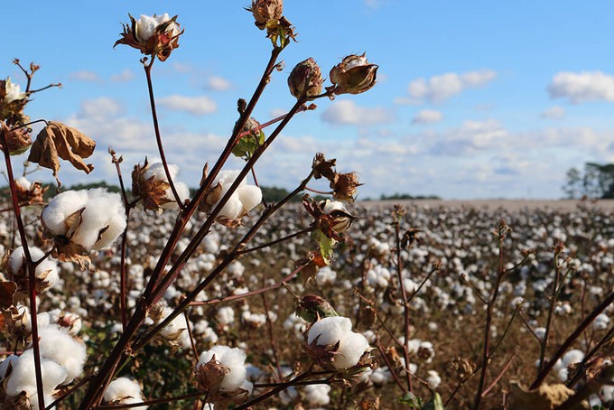 Child Labour in the Fashion Industry: Is It Still a Thing?