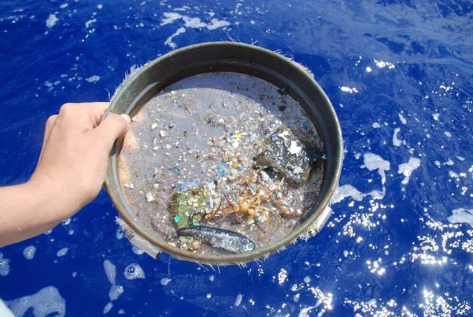 Microplastic in the ocean