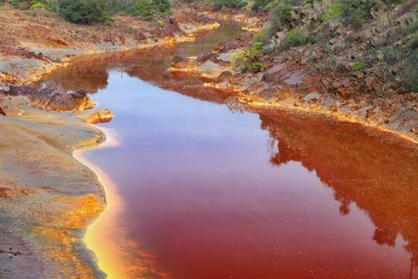 Polluted river due to the environmental impact of fast fashion