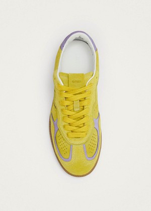 Tb.490 Rife Acid Green Leather Sneakers from Alohas