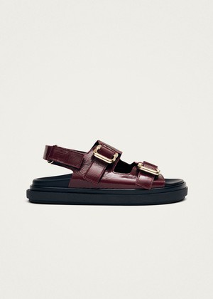 Harper Onix Burgundy Leather Sandals from Alohas