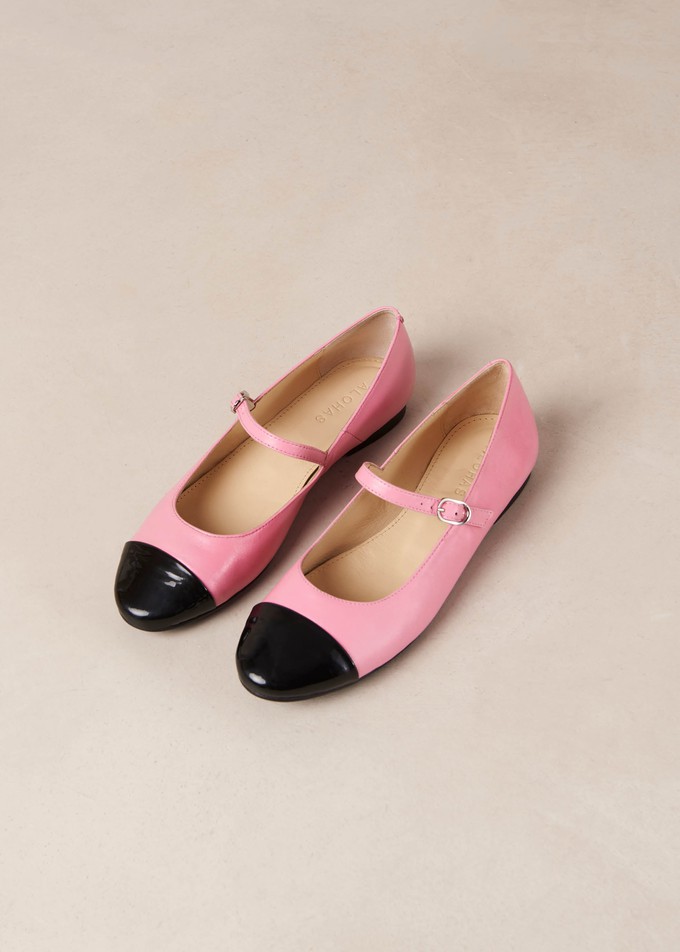 Musa Bicolor Black Pink Leather Ballet Flats from Alohas