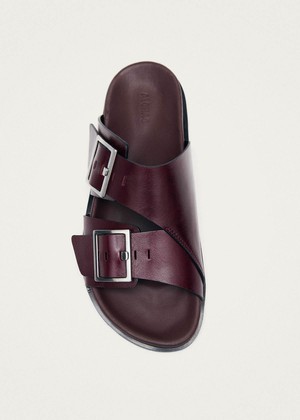 Alba Rift Burgundy Leather Sandals from Alohas