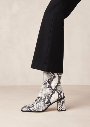 West Indo Grey Leather Ankle Boots from Alohas