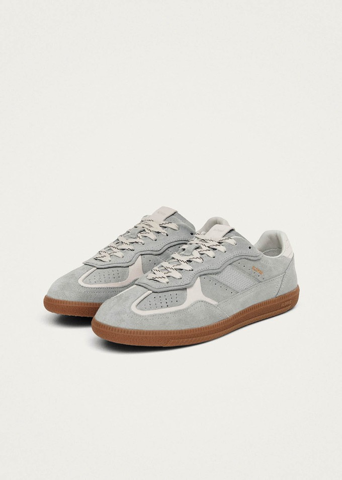 Tb.490 Rife Grey Leather Sneakers from Alohas