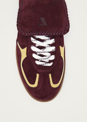 Tb.490 World Club Belgium Leather Sneakers from Alohas