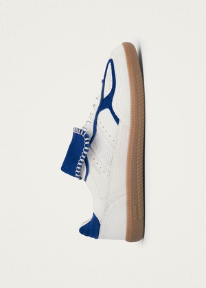 Tb.490 World Club Italy Leather Sneakers from Alohas