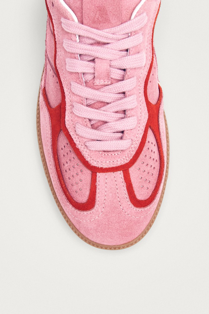 Project Cece | Tb.490 Rife Sea Pink Leather Sneakers