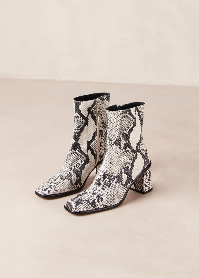 West Indo Grey Leather Ankle Boots from Alohas
