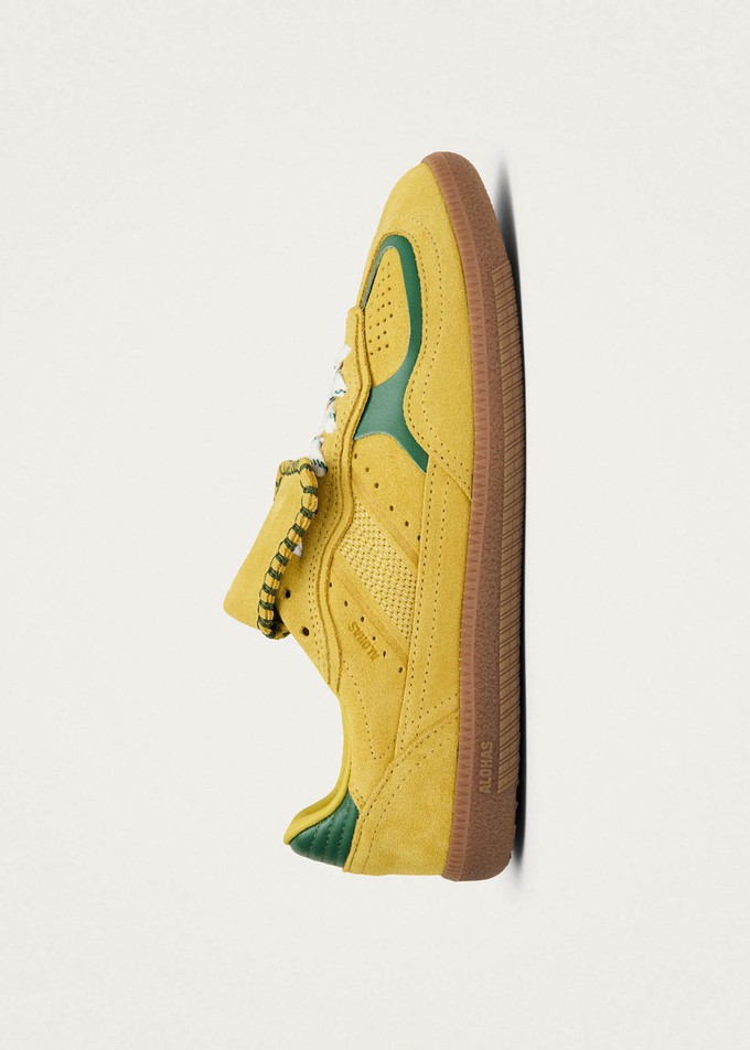 Tb.490 World Club Brasil Leather Sneakers from Alohas