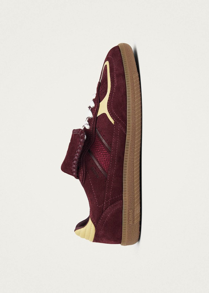 Tb.490 World Club Belgium Leather Sneakers from Alohas