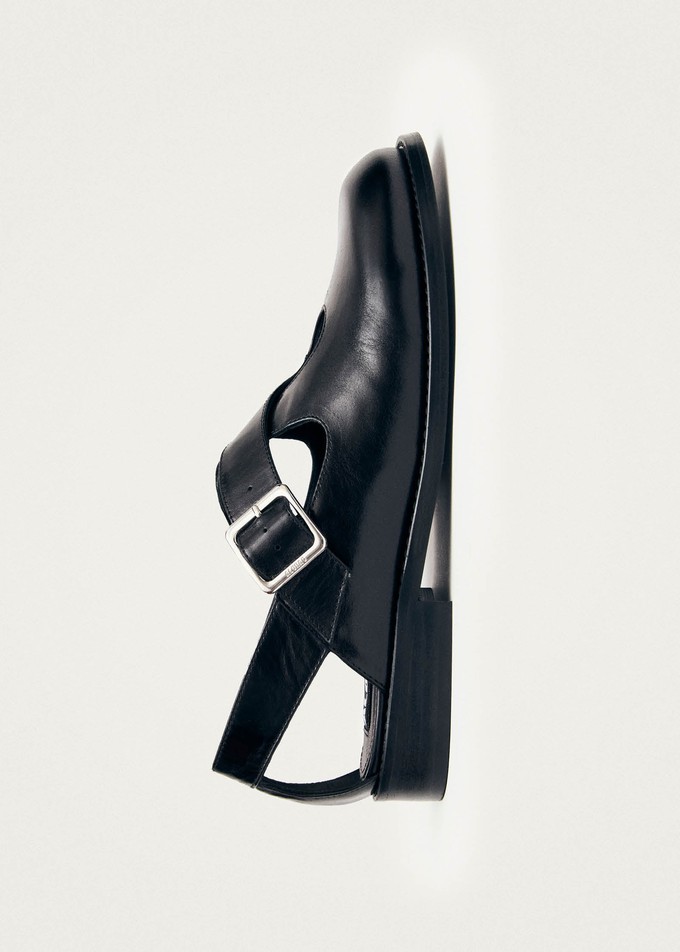 Marion Black Leather Ballet Flats from Alohas