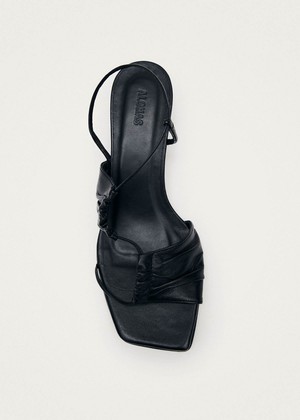 Juniper Black Leather Sandals from Alohas
