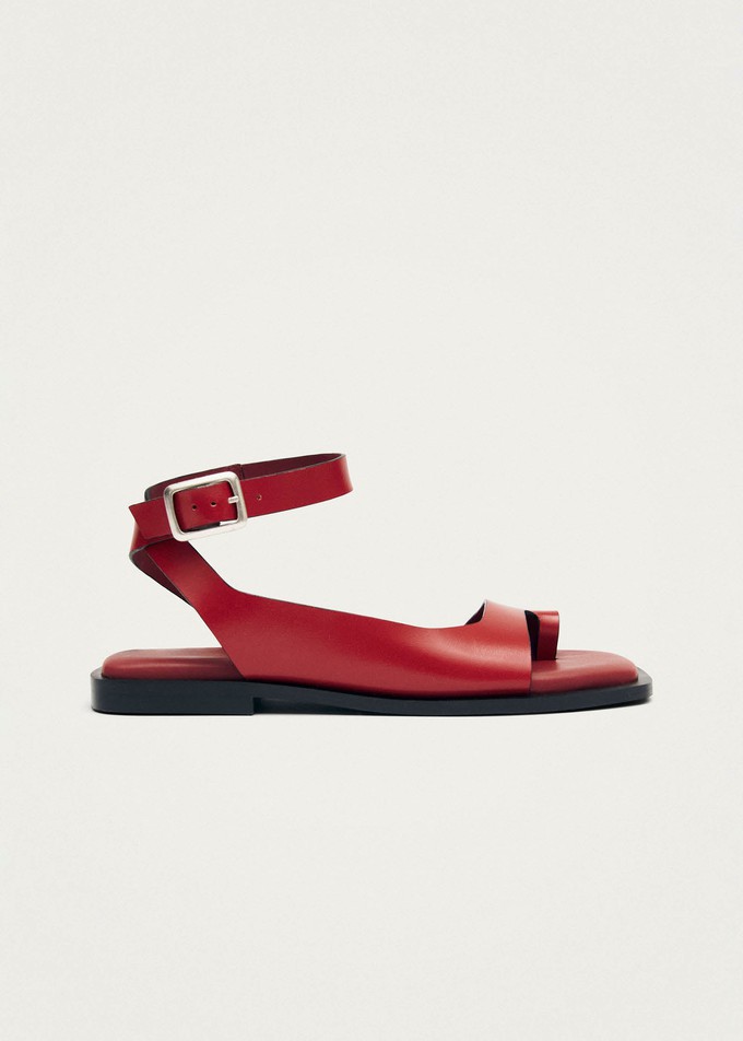 Tebas Red Leather Sandals from Alohas