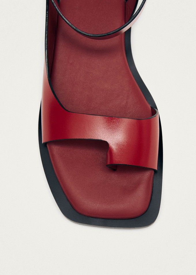 Tebas Red Leather Sandals from Alohas