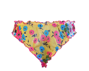 Primavera Silk Panties from Anekdot