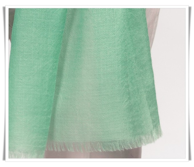 Light Green Cashmere Scarf from Asneh
