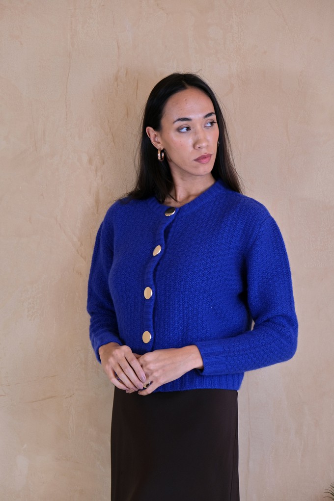 Blue Cardigan Jacket with Gold Buttons from Asneh