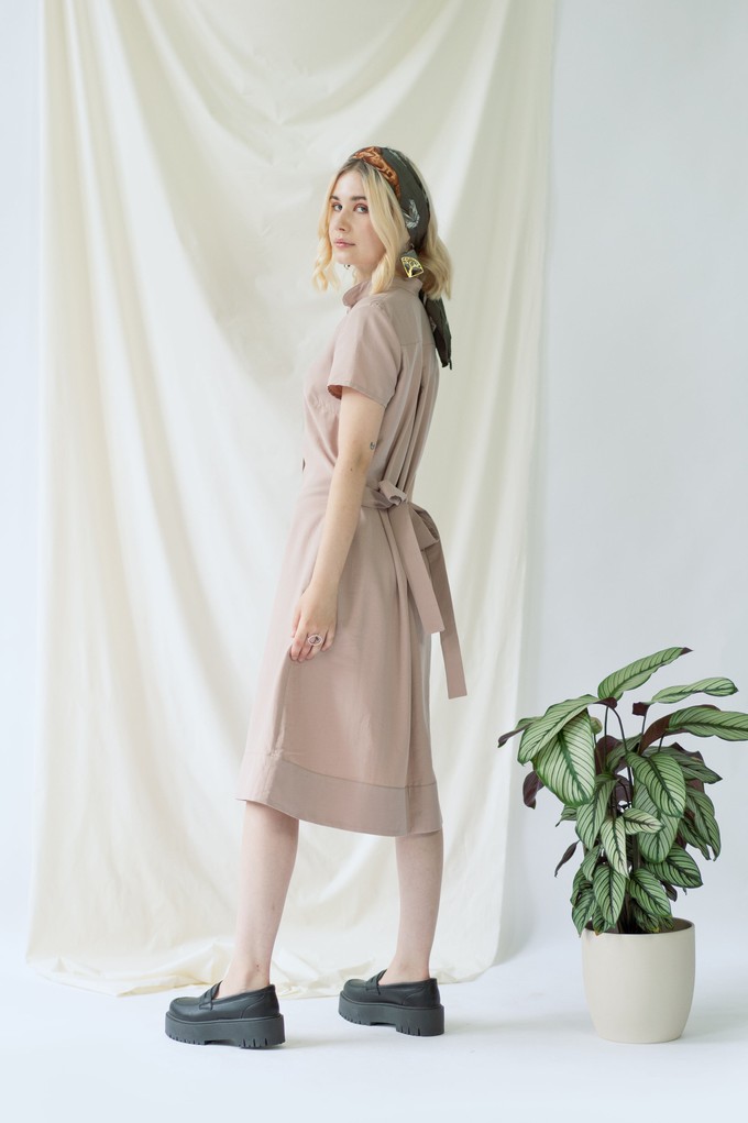 Melanie | Shirt Dress with short sleeves in rose from AYANI