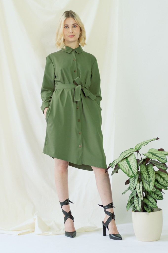 Zabel | Belted shirt dress in olive green from AYANI