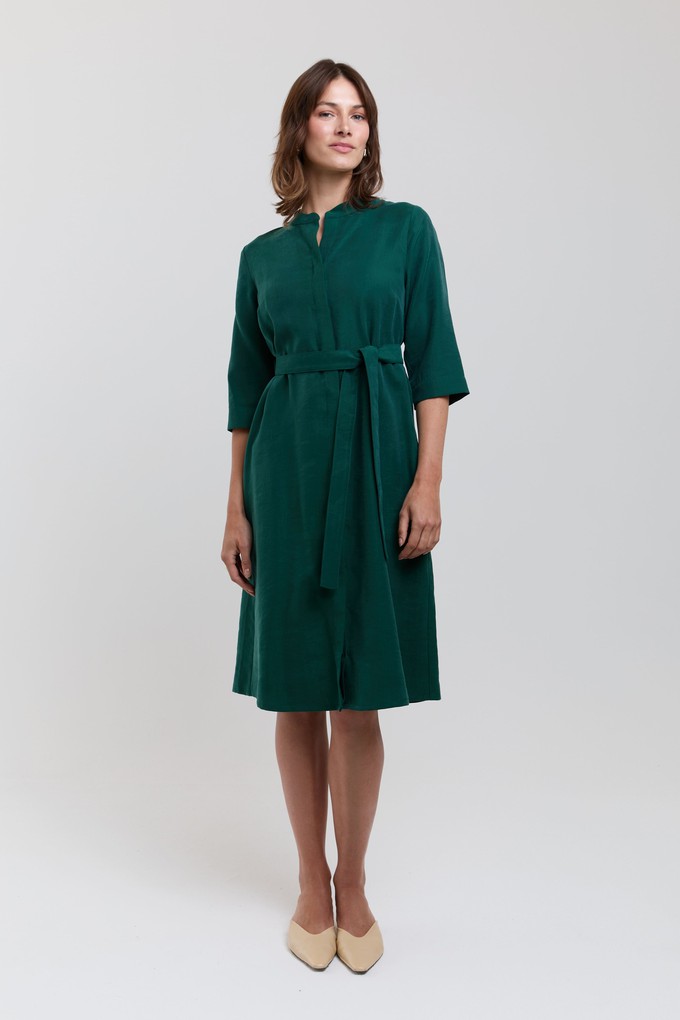 Anne | Shirt Dress in Forest Green from AYANI
