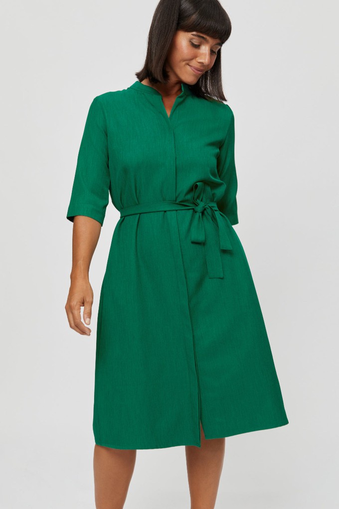 Lidia | Shirt Dress in Green from AYANI