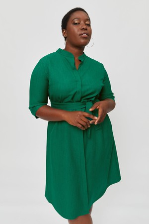 Lidia | Shirt Dress in Green from AYANI