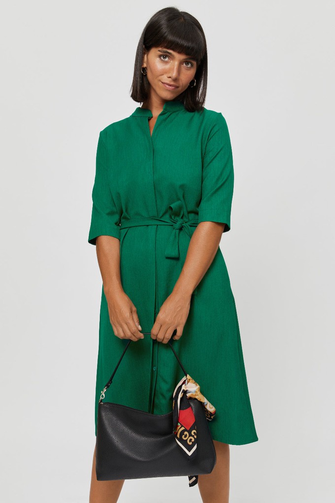 Lidia | Shirt Dress in Green from AYANI