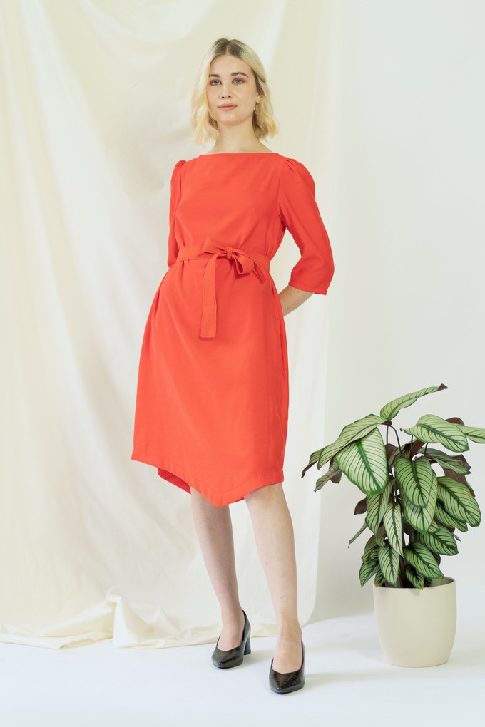 Teresa | Belted angle dress in coral from AYANI