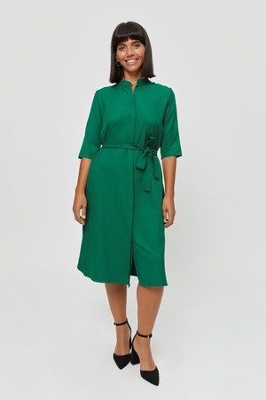 Lidia | Shirt Dress in Green from AYANI