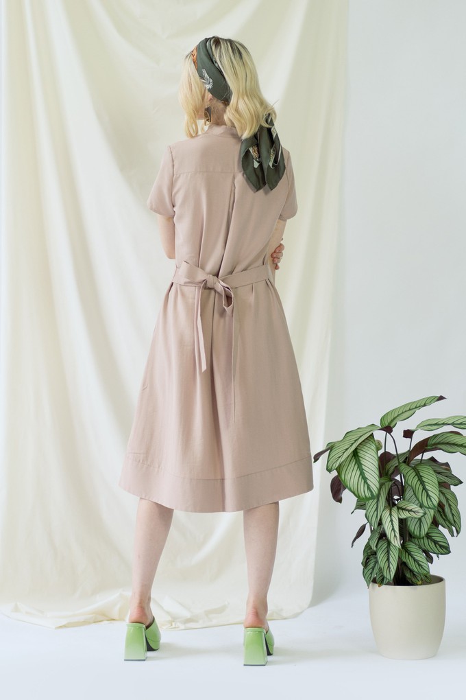 Melanie | Shirt Dress with short sleeves in rose from AYANI