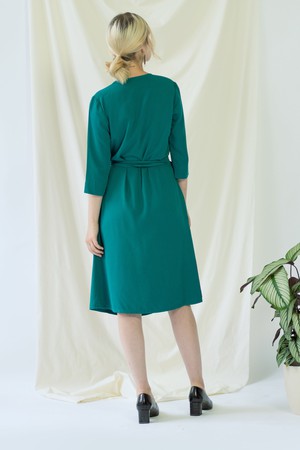 Marlene | Classy Wrap Dress in Green from AYANI