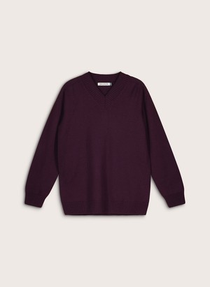 Jennifer V-Neck Merino Wool Jumper from Baukjen