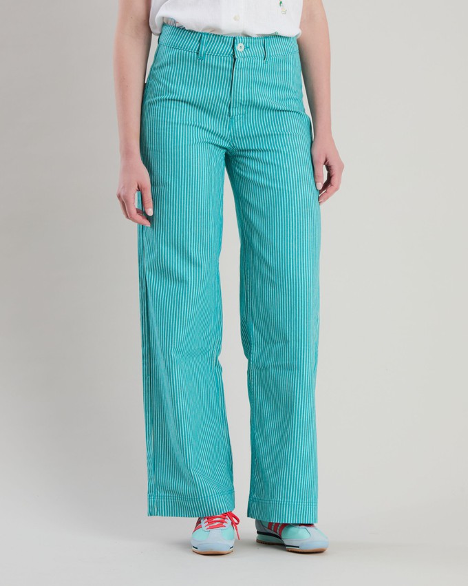 Denim Stripes Straight Leg Pants Green from Brava Fabrics