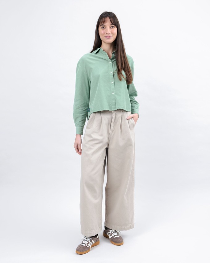 Baby Cord Shale Shirt from Brava Fabrics