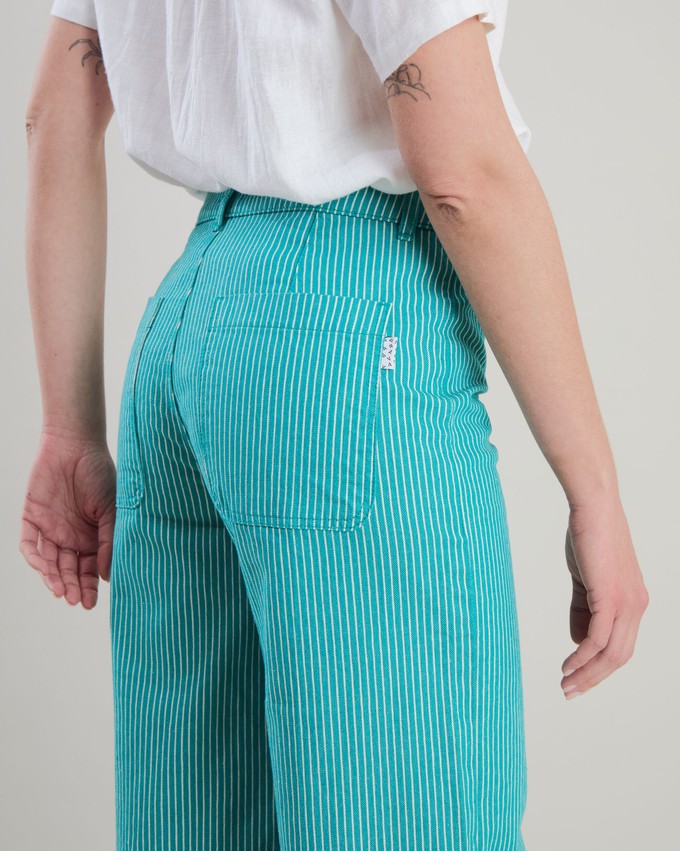 Denim Stripes Straight Leg Pants Green from Brava Fabrics