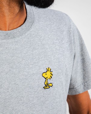 Peanuts Woodstock T-Shirt Grey from Brava Fabrics