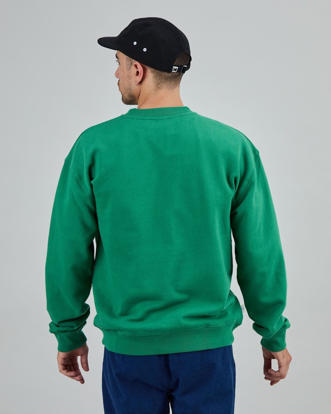 Asis Percales Daisy Sweatshirt Green from Brava Fabrics