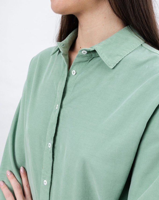Baby Cord Shale Shirt from Brava Fabrics