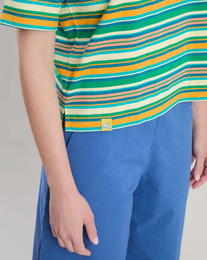 Stripes Boxy Tee Green from Brava Fabrics