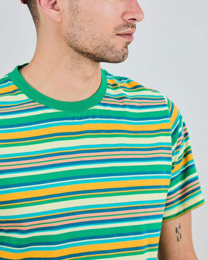 Stripes Regular T-Shirt Green from Brava Fabrics