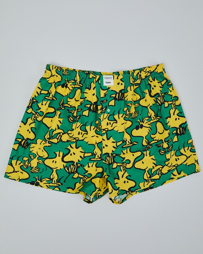 Peanuts Woodstock Boxer Green from Brava Fabrics