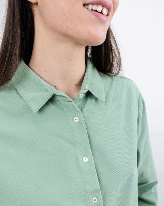 Baby Cord Shale Shirt from Brava Fabrics