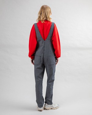 Denim Stripes Overall from Brava Fabrics