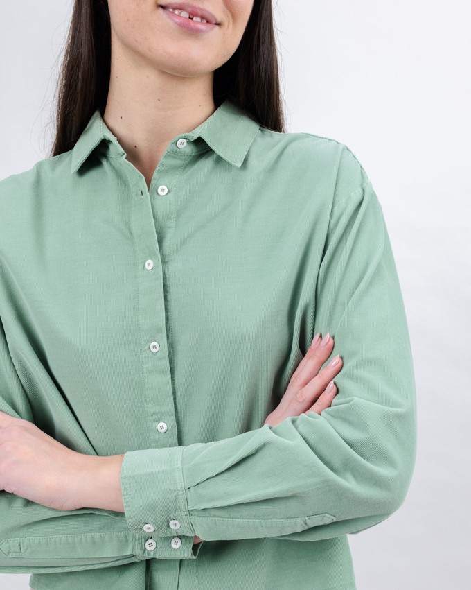 Baby Cord Shale Shirt from Brava Fabrics