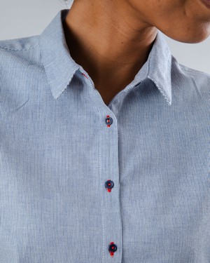 Pinstripes Batwing Sleeve Blouse Blue from Brava Fabrics