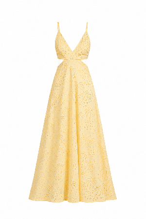 Amara Maxi Dress from C by Stories