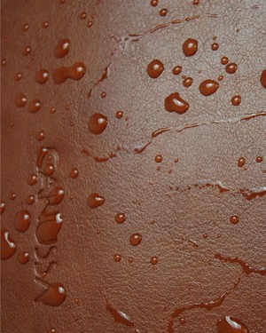 Lite - Hazelnut from CANUSSA