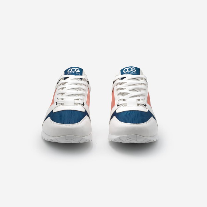 raven - corail bleu h from COG